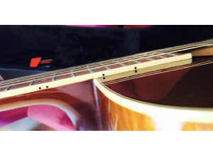 Fender Malibu SCE [2008-2011]