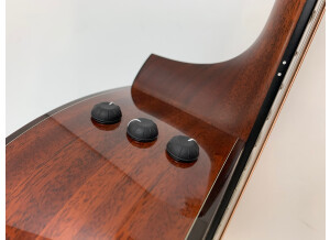 Taylor 516ce (60330)