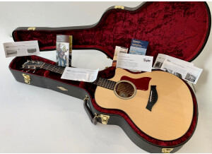 Taylor 516ce (41560)