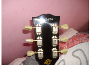 Gibson Les Paul Joe Perry Signature Boneyard