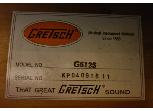 Gretsch G5125 Electromatic Hollow Body (36374)