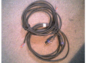 Neutrik cable speakon