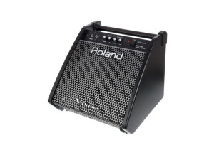 Roland PM-100 (46045)