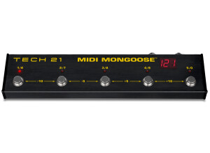 tech-21-midi-mongoose-259072