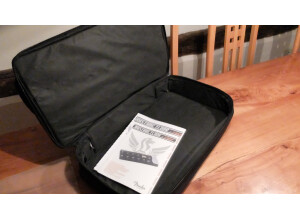 Fender Mustang Floor (41995)