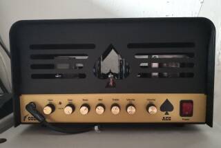 Ace Amplification Colt