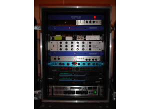Custom Audio Electronics RS-10 (3025)