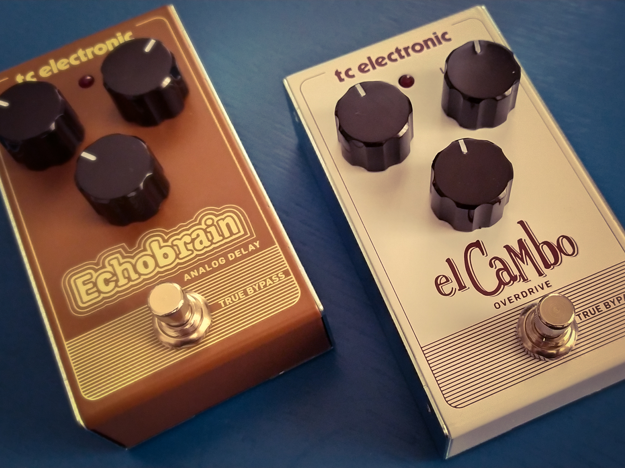 TC Electronic EchoBrain Analog Delay