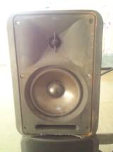 RCF Monitor 5s