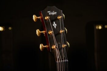 Taylor-BE324ce-Beauty-2020-213 Taylor-BE324ce-Beauty-2020-213