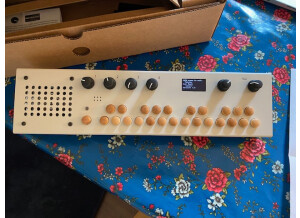 Critter and Guitari Organelle M (71306)