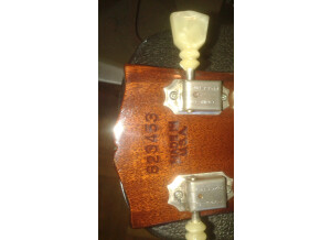 Gibson ES-335 TD (64269)