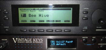 IMG_3809.JPG IMG_3809.JPG