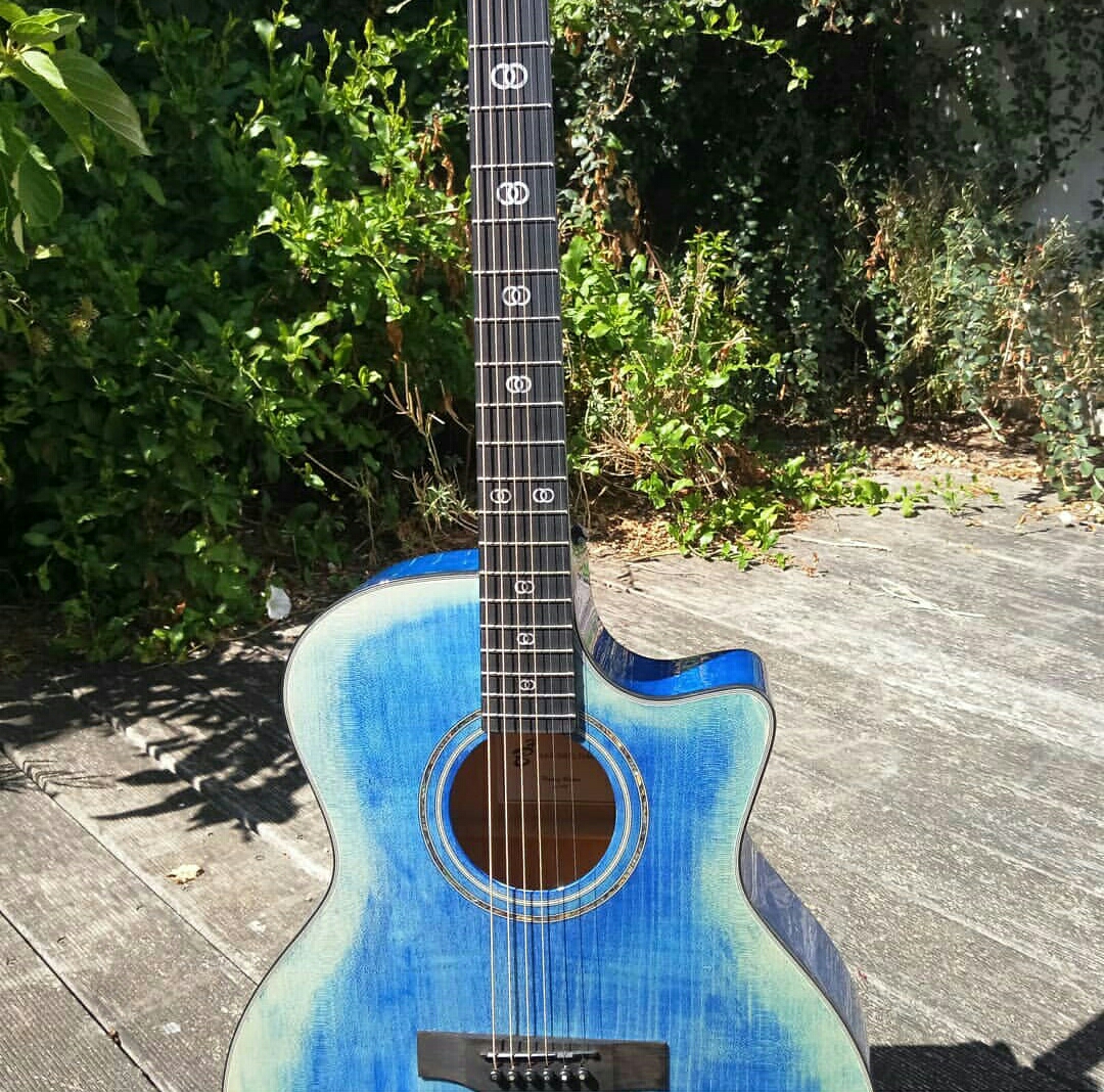 Harley Benton EAX-500TL