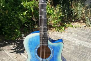 Harley Benton EAX-500TL