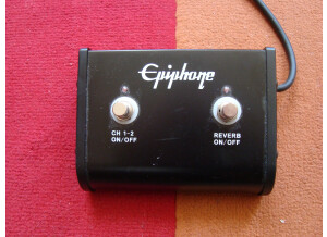 Epiphone [Amp Series] Blues Custom