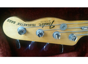 Fender Telecaster Bass [1971-1979] (59476)