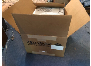 Mesa Boogie Mark Five: 25 Head (50580)