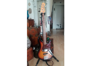 Fender Reggie Hamilton Standard Jazz Bass (19796)