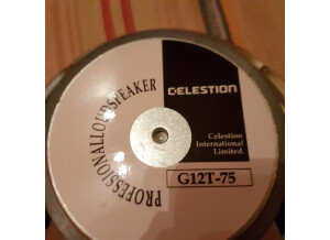Celestion G12T-75 (31852)