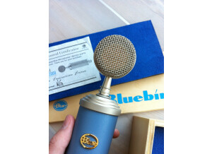 Blue Microphones Bluebird (91468)