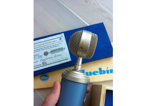 Blue Microphones Bluebird (61771)
