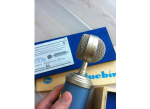 Blue Microphones Bluebird (40590)