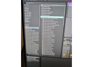 Ableton Live 10 Suite (93046)