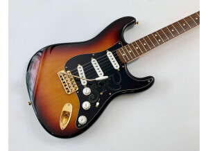 Fender Stevie Ray Vaughan Stratocaster (49886)