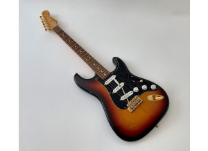 Fender Stevie Ray Vaughan Stratocaster (9625)