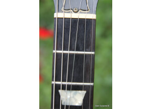 Gibson Les Paul Studio (74069)