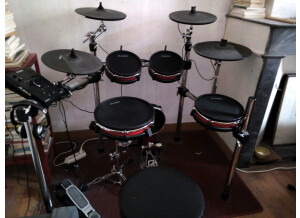 Alesis Crimson II Mesh Kit (54997)