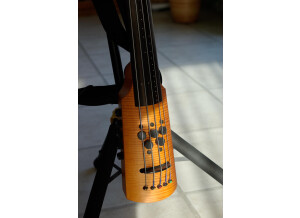 Ns Design Bass Cello (96780)
