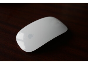 Magic Mouse 1.JPG