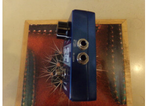 DigiTech JamMan Express XT (3868)