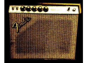 Fender Vibro Champ "Silverface" [1968-1982] (9323)