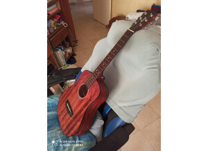 Cort Earth-Mini (63382)