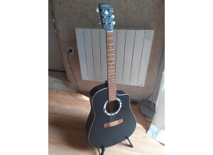 Art & Lutherie Wild Cherry (18333)