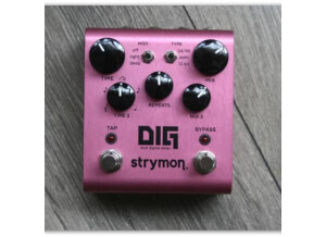 Strymon DIG (43700)