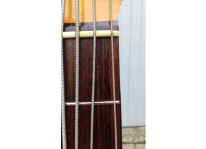 Fender Mustang Bass [1966-1981] (26591)