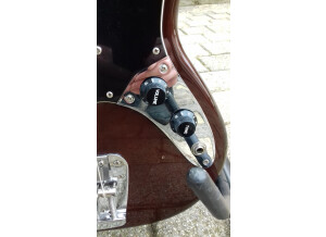 Fender Mustang Bass [1966-1981] (53716)