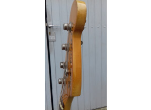 Fender Mustang Bass [1966-1981] (17131)