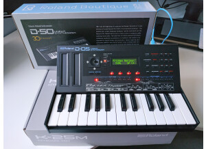 Roland D-05