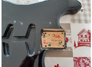 Fender Standard Stratocaster [1990-2005] (79753)