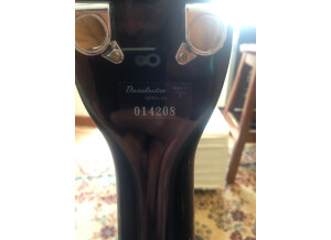 Danelectro Long Horn Bass (69922)