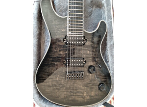 Mayones Regius Custom Shop 7 (64343)