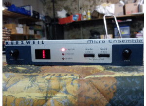 Kurzweil Micro Ensemble (28054)