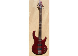 Ibanez 1