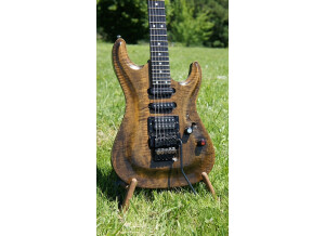 Valley Arts Guitars Custom Pro (83312)