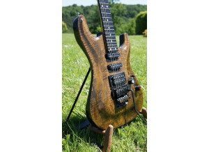 Valley Arts Guitars Custom Pro (16951)